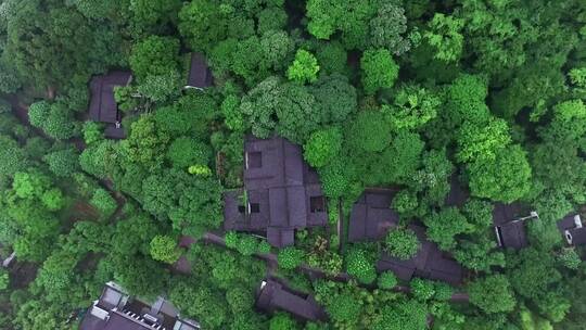 鸟瞰 俯拍 山中村落 农家院