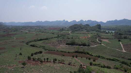 广西大面积甘蔗种植基地航拍