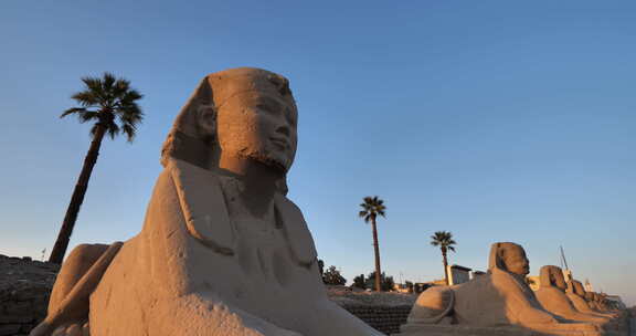 埃及排狮身人面像，卢克索神庙，上埃及