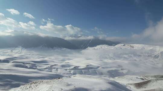 伊犁琼库什台雪景