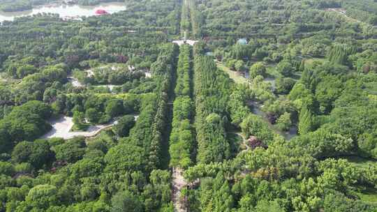 航拍洛阳隋唐城遗址植物园