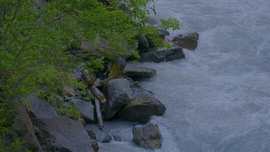 河流，岩石，河床，水