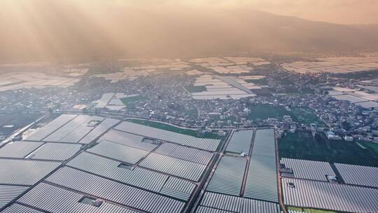 4k航拍云南蔬菜大棚种植基地 5
