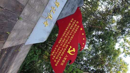 入党宣誓党建红色旗帜