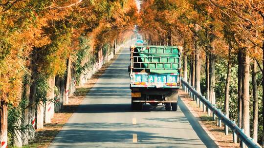 杭州绝美秋景道路航拍