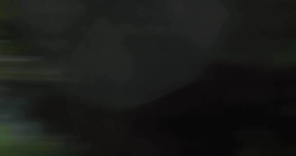 树叶 树林快速转场镜头