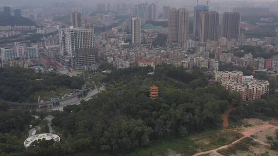 航拍深圳城市生态绿化