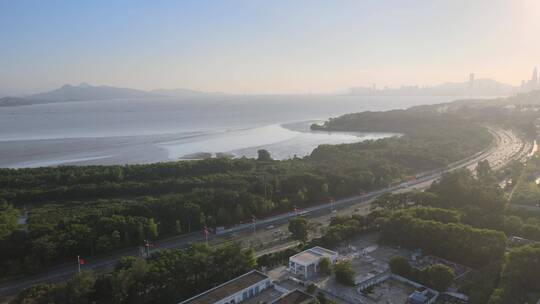 滨海大道  道路   车流 车辆 深圳