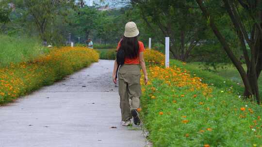 深圳坪山河湿地公园赏花的游客