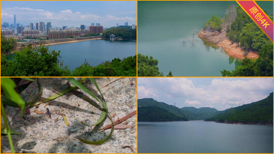 广东深圳塘朗山步道和梅林水库自然生态合集