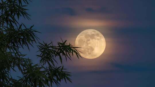 中秋竹影婆娑下的皎洁月光静谧夜空竹林赏月