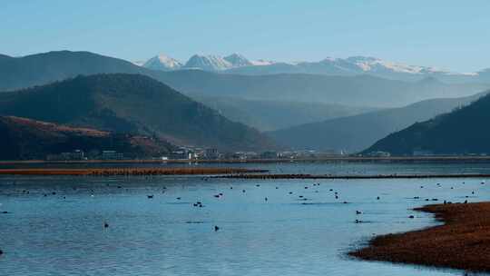 云南景点晨雾里香格里拉纳帕海雪山