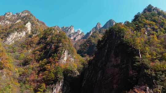 秋季森林自然风景实拍