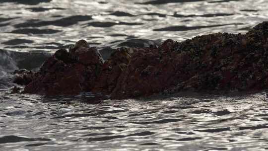 水，海洋，海浪，阳光