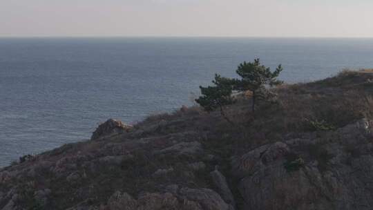 大连滨海东路崖松环转航拍