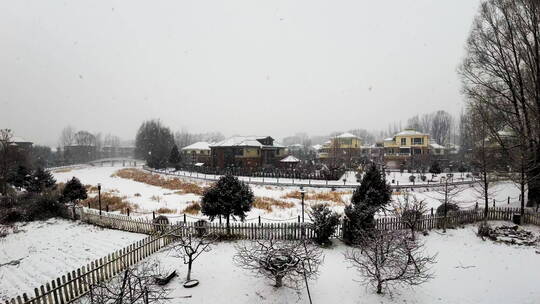 东北冬天下雪生活区雪景4K慢镜头