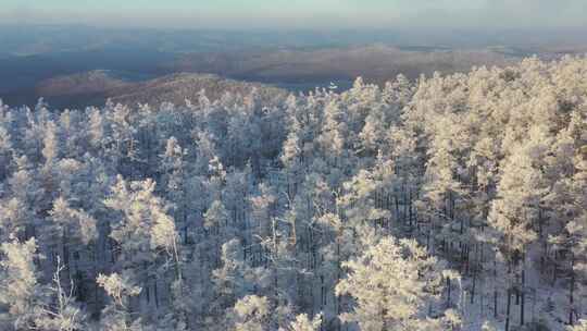 高山雾凇