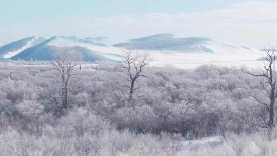 4K冬季呼伦贝尔雪原河流雾凇梦幻航拍9