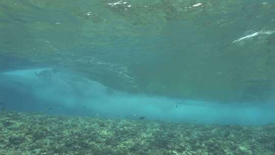 实拍海底世界水下光线led背景视频