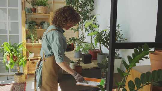 花盆，植物苗圃，浇水植物，女人