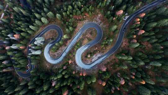 森林山地盘山公路