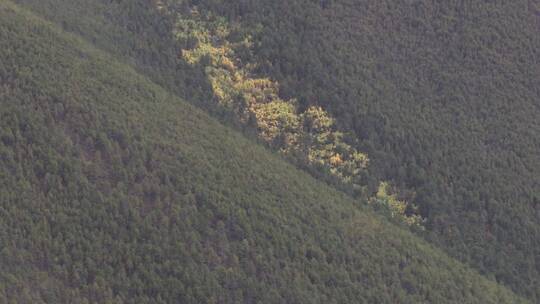 云南德钦大山