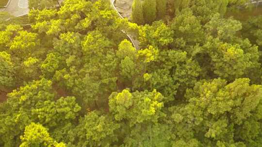北戴河怪楼奇园景区风景航拍视频素材模板下载