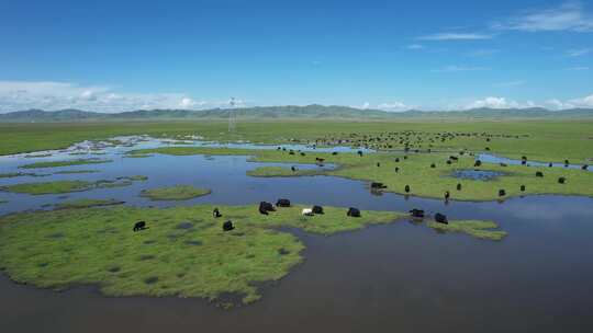 四川阿坝州若尔盖大草原湿地航拍自然风光