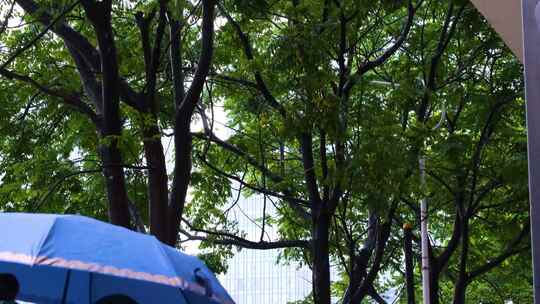 下暴雨下大雨下雨天雨水雨滴街景街道街头风