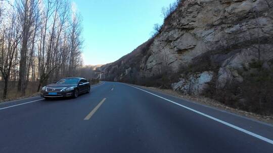 行车视角道路两侧绿化风景开车第一视角开车