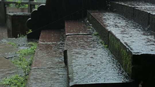 安徽省黄山市齐云山雨天台阶青苔特写