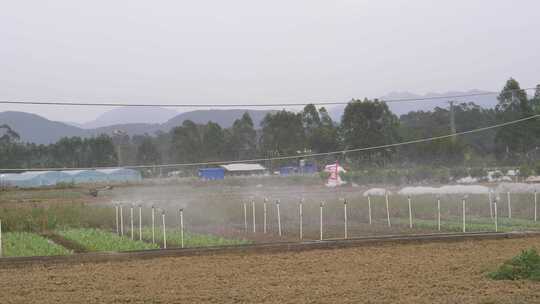 农业菜地灌溉洒水