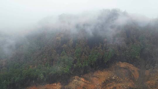 重庆山火后，北碚缙云山迎来降雨，云雾缭绕