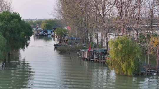 湖光渔家 生态湿地 塘口