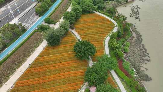 航拍福建福州城市花海公园