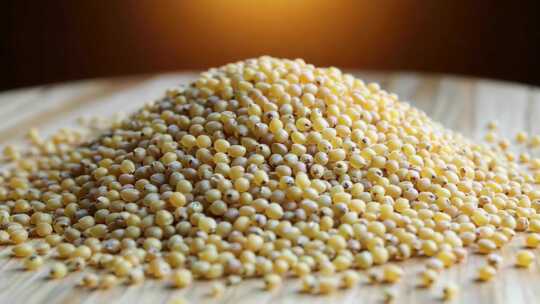 黄米微距特写