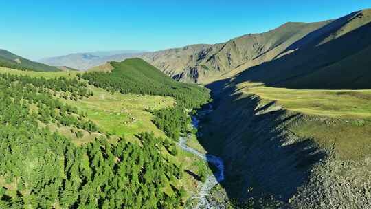 航拍新疆东天山原始森林高山草原风光