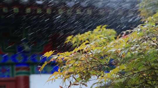 古建筑屋檐下雨水滴水花