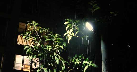 孤独-雨夜路灯下植物和建筑物