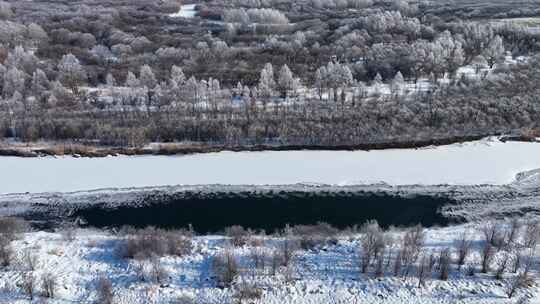 内蒙古雪原扎敦河丛林雾凇