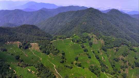 航拍杭州西湖龙井茶园 十里琅珰 龙井问茶