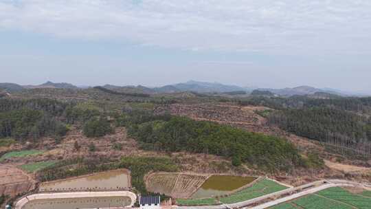 乡村全景俯瞰，绿意盎然的田园风光