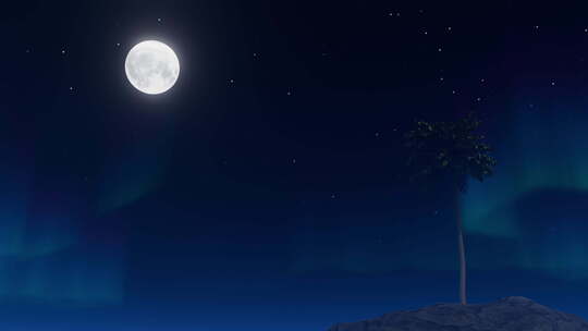 夜晚海边月光椰子树摇曳视频素材模板下载