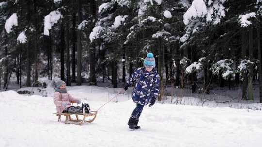 孩子们，雪橇，雪，树林