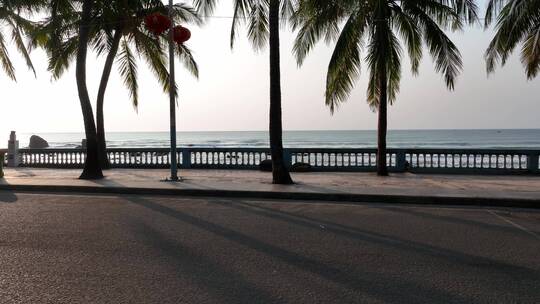 海边公路和椰树视频素材模板下载