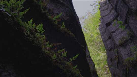 湖北恩施梭布垭石林景区自然风景喀斯特地貌