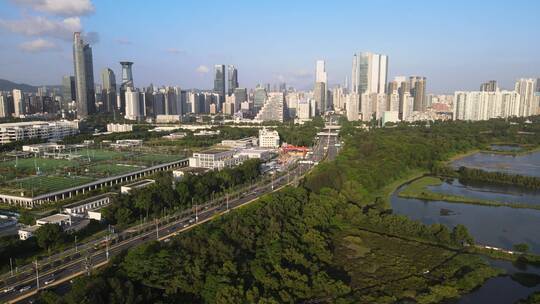 深圳福田区红树林