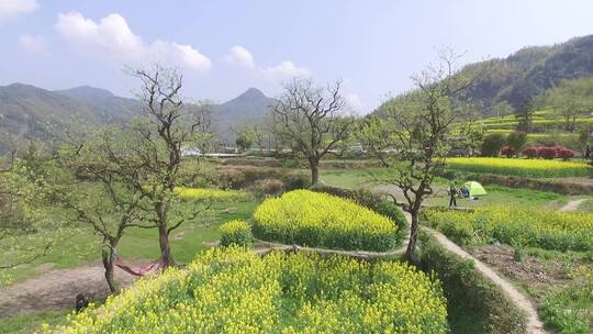 衢州市衢江区东平村