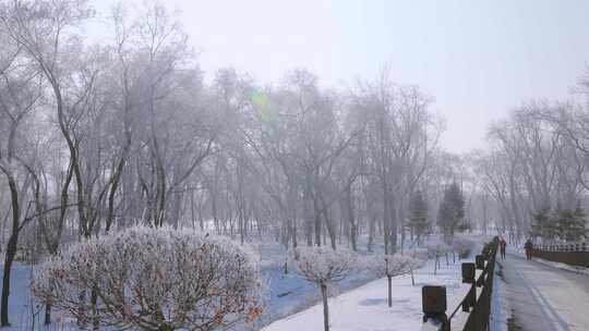 北方冬天唯美冬季自然景色雾凇冰花树挂