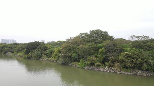 城市生态湿地